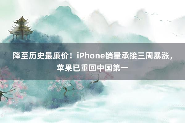 降至历史最廉价！iPhone销量承接三周暴涨，苹果已重回中国第一