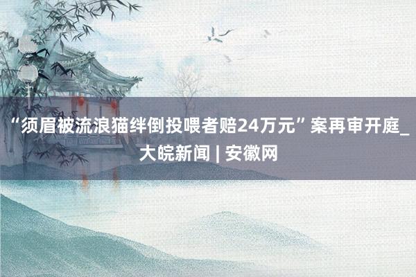 “须眉被流浪猫绊倒投喂者赔24万元”案再审开庭_大皖新闻 | 安徽网