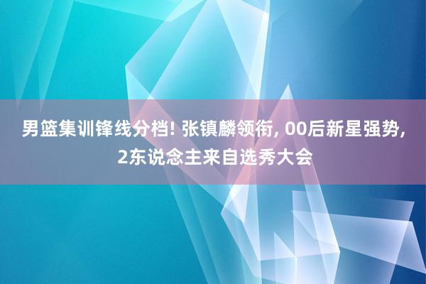 男篮集训锋线分档! 张镇麟领衔, 00后新星强势, 2东说念主来自选秀大会