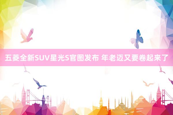 五菱全新SUV星光S官图发布 年老迈又要卷起来了