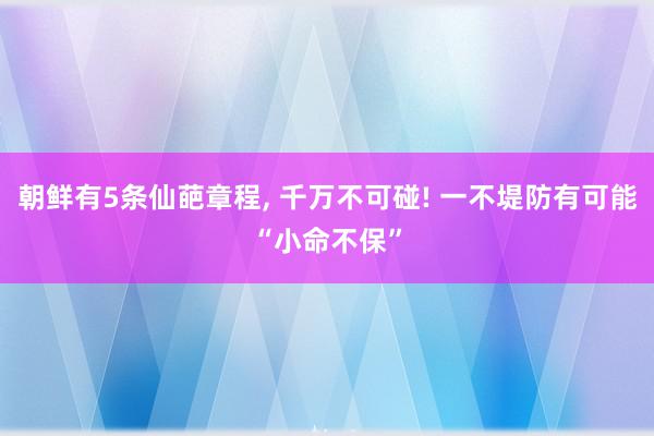 朝鲜有5条仙葩章程, 千万不可碰! 一不堤防有可能“小命不保”