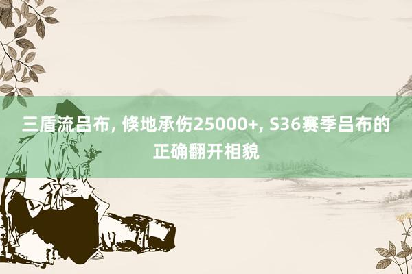 三盾流吕布, 倏地承伤25000+, S36赛季吕布的正确翻开相貌