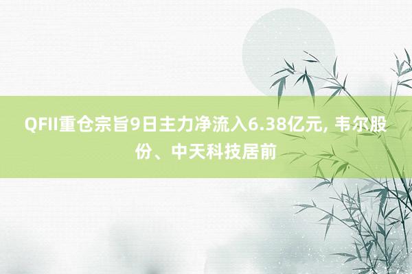 QFII重仓宗旨9日主力净流入6.38亿元, 韦尔股份、中天科技居前