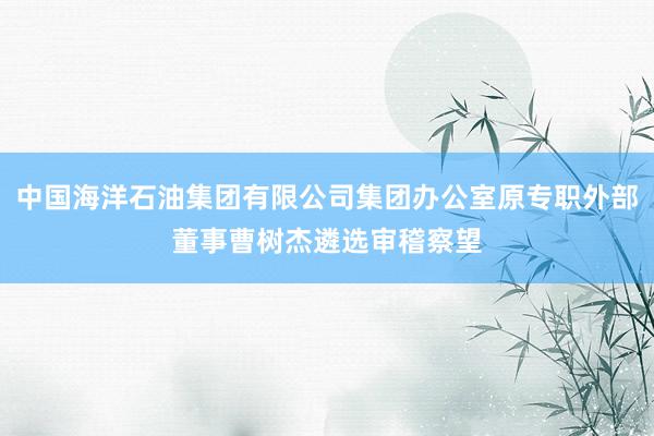 中国海洋石油集团有限公司集团办公室原专职外部董事曹树杰遴选审稽察望