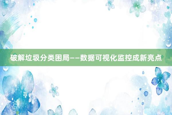 破解垃圾分类困局——数据可视化监控成新亮点