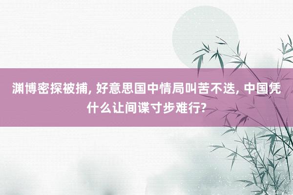 渊博密探被捕, 好意思国中情局叫苦不迭, 中国凭什么让间谍寸步难行?