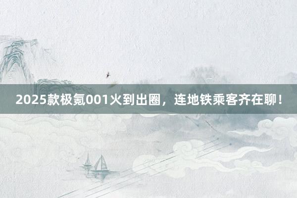 2025款极氪001火到出圈，连地铁乘客齐在聊！