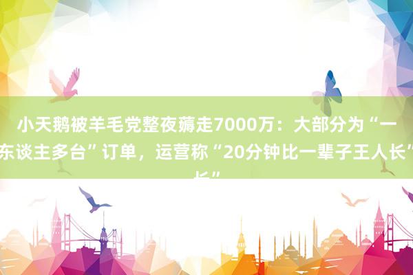 小天鹅被羊毛党整夜薅走7000万：大部分为“一东谈主多台”订单，运营称“20分钟比一辈子王人长”