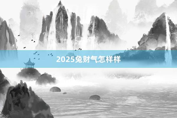 2025兔财气怎样样