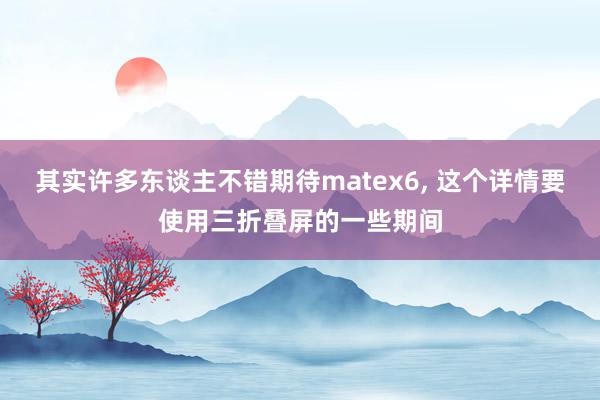 其实许多东谈主不错期待matex6, 这个详情要使用三折叠屏的一些期间