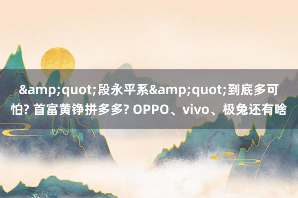 &quot;段永平系&quot;到底多可怕? 首富黄铮拼多多? OPPO、vivo、极兔还有啥