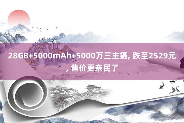 28GB+5000mAh+5000万三主摄, 跌至2529元, 售价更亲民了