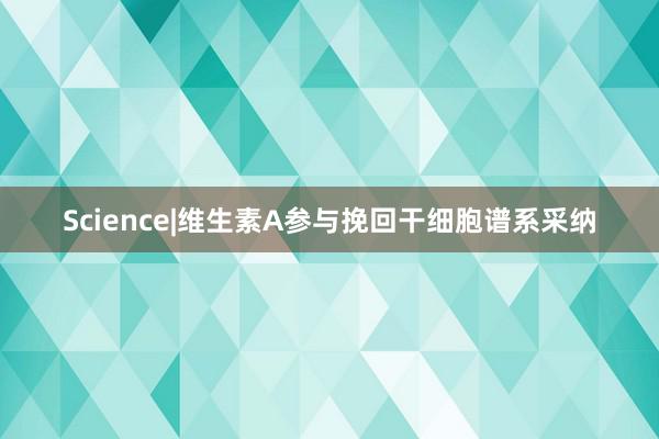 Science|维生素A参与挽回干细胞谱系采纳