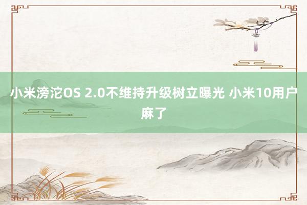 小米滂沱OS 2.0不维持升级树立曝光 小米10用户麻了