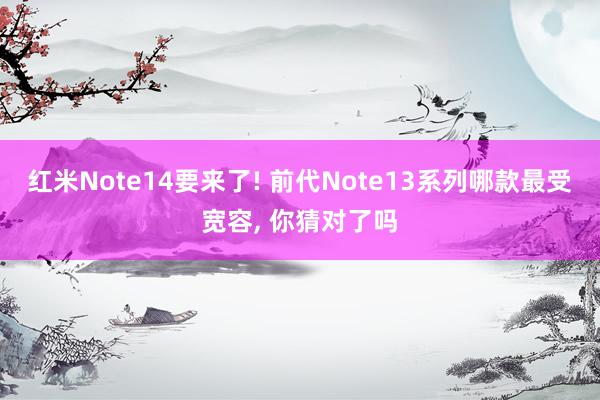 红米Note14要来了! 前代Note13系列哪款最受宽容, 你猜对了吗