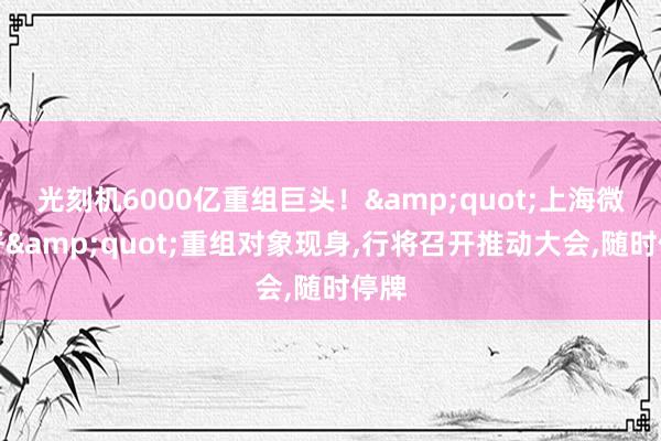 光刻机6000亿重组巨头！&quot;上海微电子&quot;重组对象现身,行将召开推动大会,随时停牌