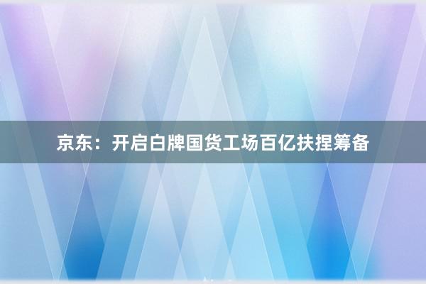 京东：开启白牌国货工场百亿扶捏筹备