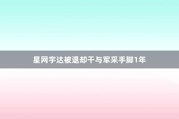 星网宇达被退却干与军采手脚1年