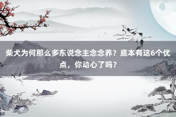 柴犬为何那么多东说念主念念养？底本有这6个优点，你动心了吗？