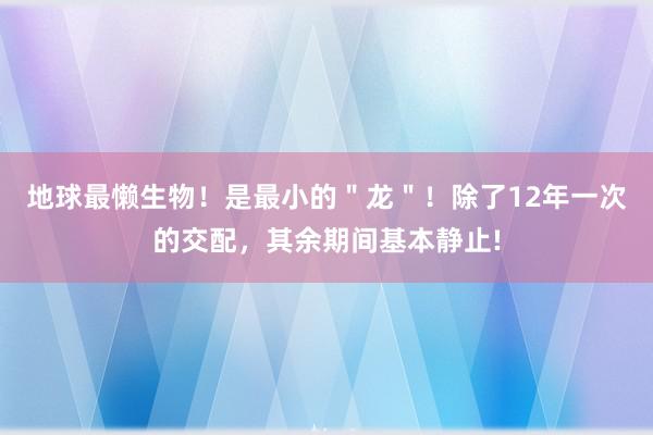 地球最懒生物！是最小的＂龙＂！除了12年一次的交配，其余期间基本静止!