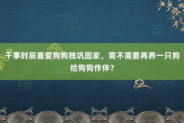 干事时辰喜爱狗狗独巩固家，需不需要再养一只狗给狗狗作伴？