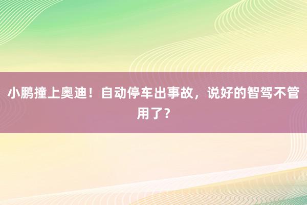 小鹏撞上奥迪！自动停车出事故，说好的智驾不管用了？